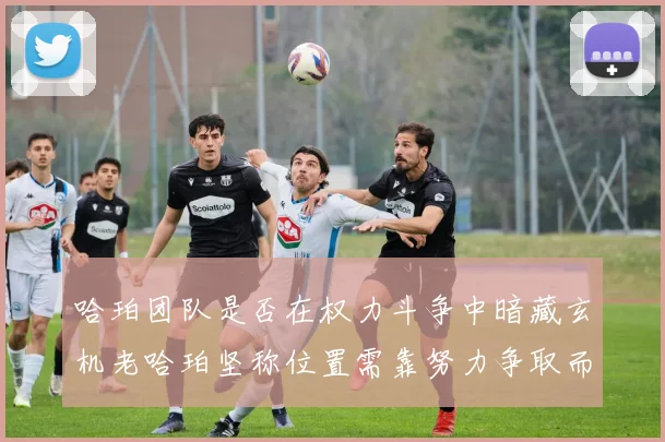 哈珀团队是否在权力斗争中暗藏玄机老哈珀坚称位置需靠努力争取而非索要