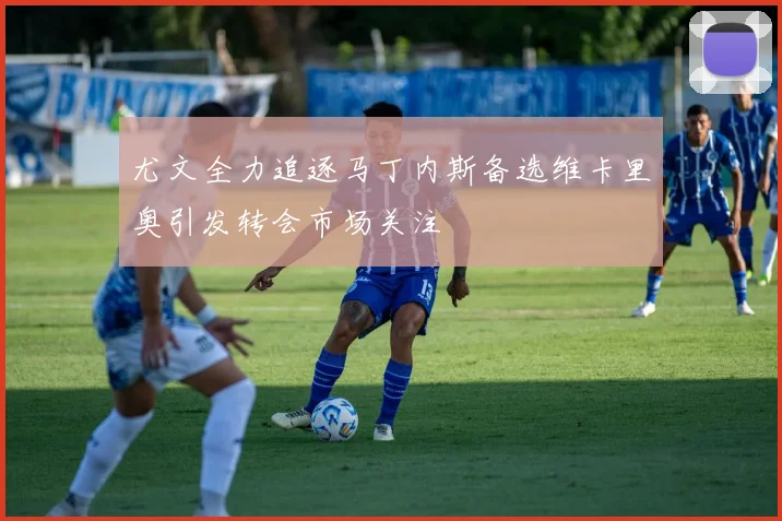 尤文全力追逐马丁内斯备选维卡里奥引发转会市场关注