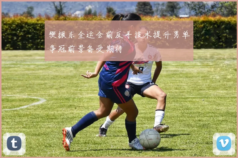 樊振东全运会前反手技术提升男单争冠前景备受期待