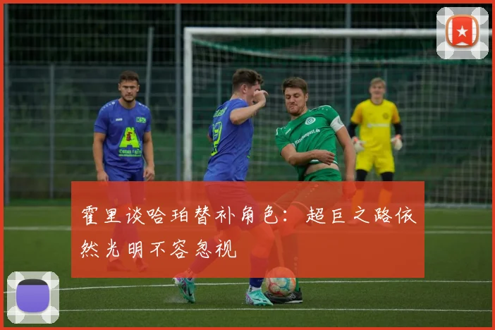 霍里谈哈珀替补角色：超巨之路依然光明不容忽视