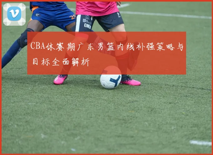 CBA休赛期广东男篮内线补强策略与目标全面解析